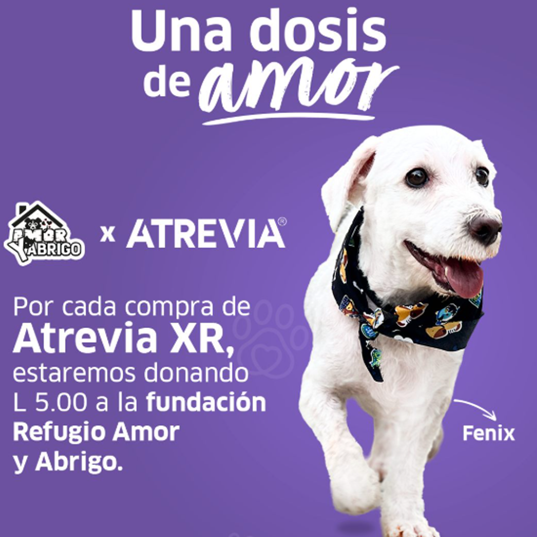 Evento Dosis de Amor