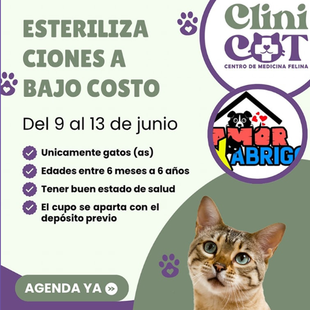 Campaña Esterilizacion